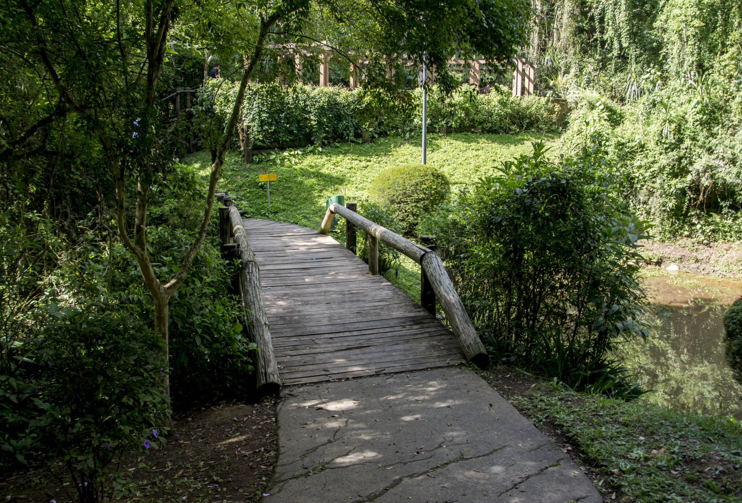 Parques ficam fechados ou restritos no fim de semana.
- Na imagem, Parque Nascentes do Belém.
Foto: Levy Ferreira/SMCS